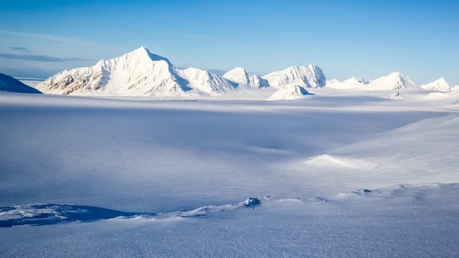 Ο πάγος υποχώρησε, αποκαλύπτοντας έναν κόσμο νεκρών γιγάντων - Το τρομακτικό νεκροταφείο της Αρκτικής