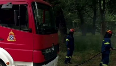 Πυρκαγιά σε δασική έκταση στην περιοχή Κοτρωνιά του δήμου Σουφλίου