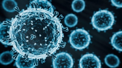 Πρώτο ανθρώπινο κρούσμα της γρίπης των πτηνών στην Ιταλία