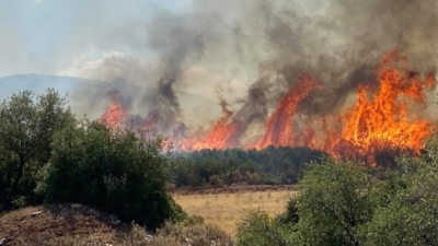 Συναγερμός στην Πυροσβεστική για μεγάλη πυρκαγιά στο Μαρκόπουλο Ωρωπού