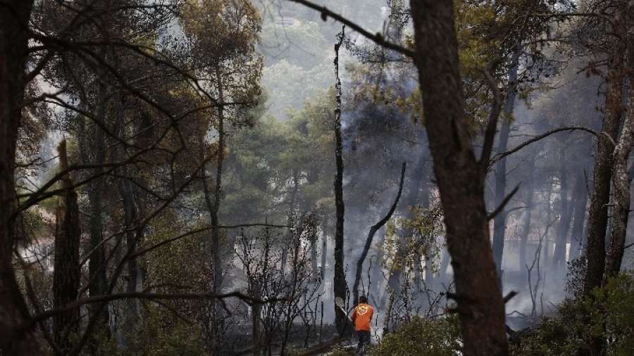 «Αποφύγαμε τα χειρότερα στη Σταμάτα», λέει ο δήμαρχος Διονύσου