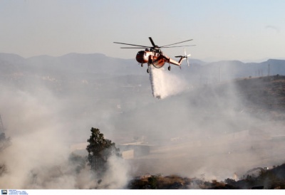 Υπό μερικό έλεγχο η πυρκαγιά στα Μέγαρα - Στο σημείο οι Πυροσβεστικές δυνάμεις
