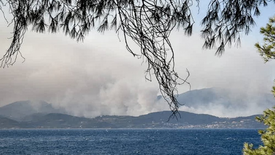 Πυρκαγιά σε αγροτοδασική έκταση στο Νότιο Πήλιο – Μήνυμα από το 112