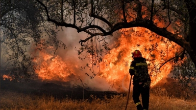 Γ.Γ. Πολιτκής Προστασίας: Πολύ υψηλός κίνδυνος πυρκαγιάς (κατηγορία κινδύνου 4) για 3 περιφέρειες της χώρας τη Δευτέρα 1/8