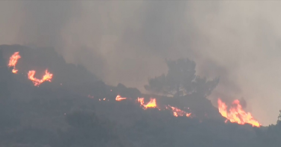 Μάχη στην Ιεράπετρα με τις αναζωπυρώσεις δίνουν οι δυνάμεις πυρόσβεσης – Σε κατάσταση έκτακτης ανάγκης οι πληγείσες περιοχές