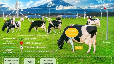 Έρχονται οι αγελάδες που θα φορούν... smartwatch στα ράντζα