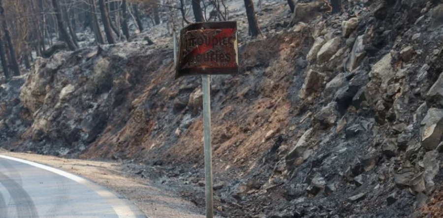 Χατζηδάκης: Τα μέτρα στήριξης για τη Βόρεια Χίο μετά τις καταστροφικές πυρκαγιές