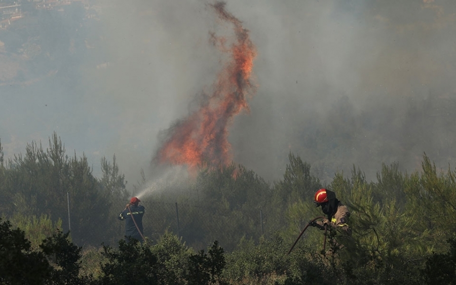 Ηλεία: Μαίνεται ανεξέλεγκτη η πυρκαγιά στη Κορυφή Πύργου και κινείται προς το χωριό - Εστάλη 112 για προληπτική εκκένωση