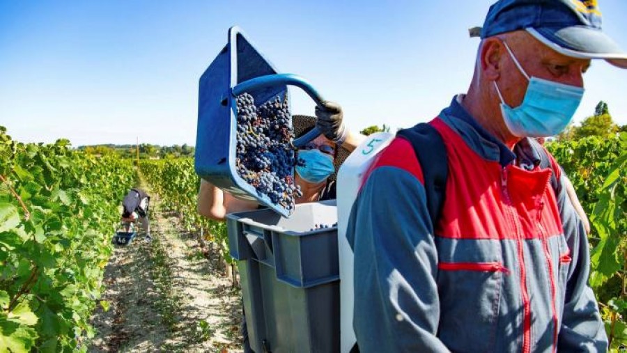 Γαλλία: Αυστηρά μέτρα στο Μπορντό για την αναχαίτιση της εξάπλωσης του κορωνοϊού