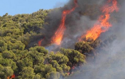 Αλεξανδρούπολη: Προς το χωριό της Δαδιάς κατευθύνεται η πυρκαγιά -Πέντε πύρινα μέτωπα