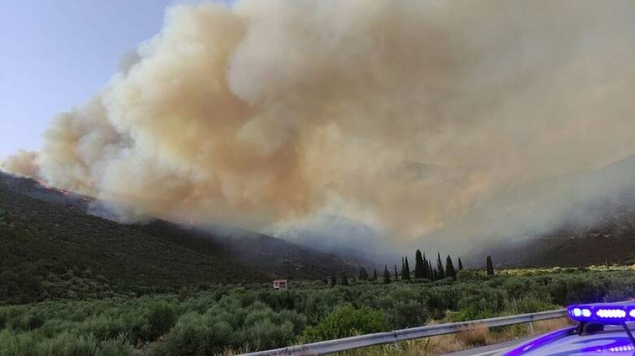 Συναγερμός στην Πυροσβεστική – Μεγάλη φωτιά στη Φωκίδα