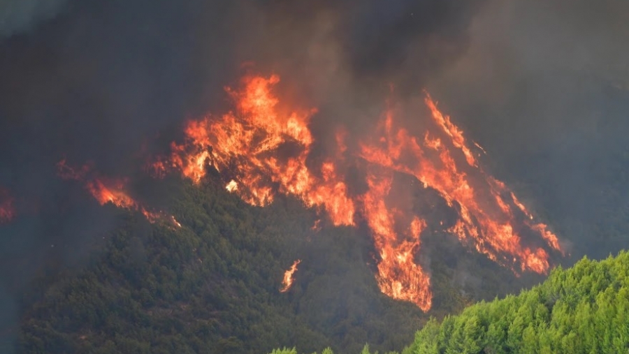 Στη μάχη της πυρόσβεσης και οι Ένοπλες Δυνάμεις - Επιτήρηση από αέρος και στο έδαφος με περιπολίες