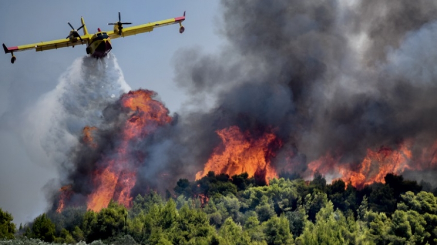 Αναζωπυρώθηκε η πυρκαγιά στο Βαρνάβα, κινδυνεύουν κατοικίες - Μαίνονται οι φωτιές σε Εύβοια, Βόλο, Ελευσίνα – Συναγερμός στην Πυροσβεστική