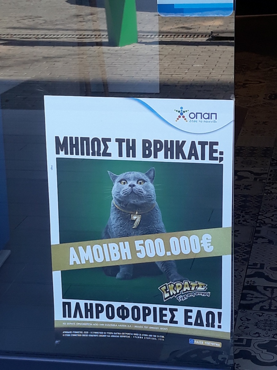 Kυνήγι σε όλη την Ελλάδα για μία γάτα με αμοιβή 500.000 ευρώ