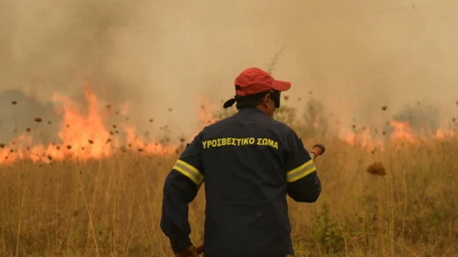 Φωτιά στον Έβρο: Κινδύνευσαν να καούν 25 μετανάστες – Τους έσωσαν οι πυροσβέστες