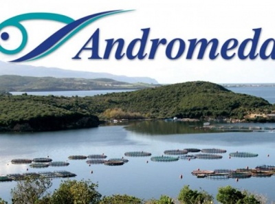 Andromeda: Στο 90,99% το ποσοστό δικαιωμάτων ψήφου της Περσεύς