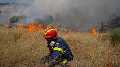 Συναγερμός στην πυροσβεστική για δασική πυρκαγιά στο Ελληνοχώρι Κορινθίας
