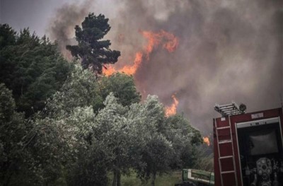 Υπό μερικό έλεγχο πυρκαγιά σε δασική έκταση στο Μεσολόγγι