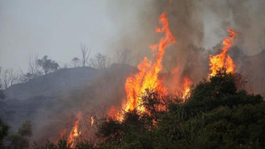 Ενισχύονται οι δυνάμεις της Πυροσβεστικής στην πυρκαγιά που μαίνεται στην περιοχή Ριόλος Αχαΐας