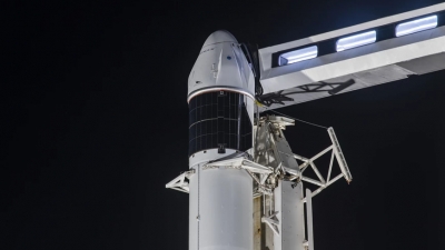 NASA: Γιατί στέλνει 100 μωρά καλαμάρια και 5.000 μικροσκοπικά ζώα στο διάστημα