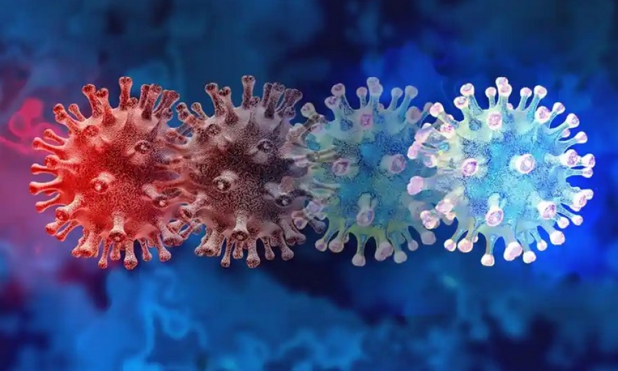 Covid - 19: Ανησυχεί τους επιστήμονες η νέα μετάλλαξη από την Αφρική - «Κλειδί» η μετάδοση