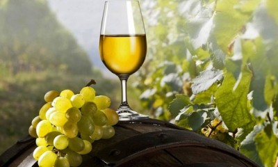 Προβληματισμός στον ελληνικό αμπελοοινικό τομέα - Αύξηση 81% στα αποθέματα οίνου