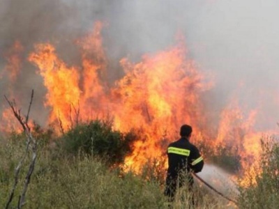 Υπό μερικό έλεγχο η μεγάλη πυρκαγιά σε δασική έκταση στη Μάνδρα Αττικής