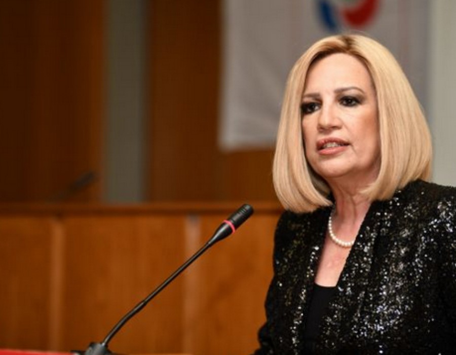 Γεννηματά για τον εορτασμό του Πολυτεχνείου: Σταματήστε τώρα, η χώρα δεν αντέχει άλλη διχόνοια