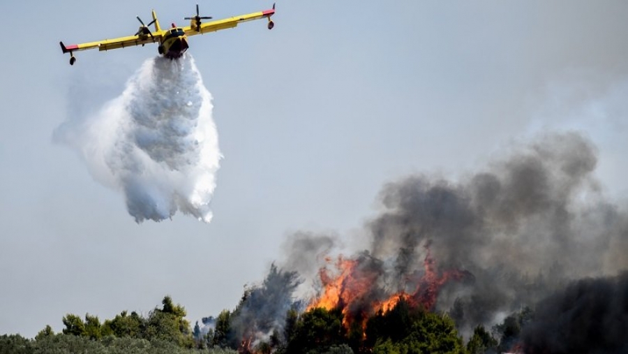 Πυροσβεστική: Σε 34 ανήλθαν οι δασικές πυρκαγιές που εκδηλώθηκαν το τελευταίο 24ωρο