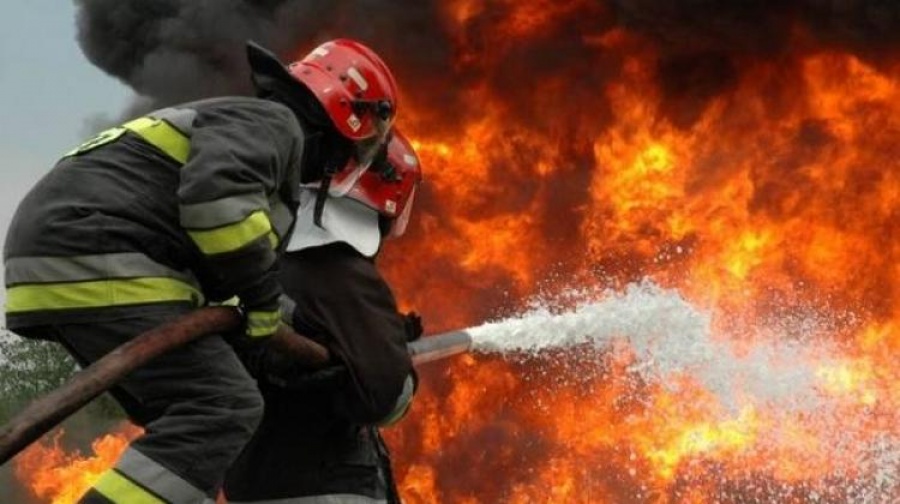 Φωτιά σε δασική έκταση στην Κύμη Ευβοίας – Έχει περιοριστεί σε μια ρεματιά