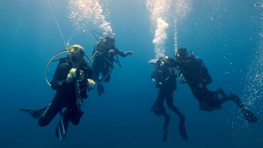 «Μπλε Δάση»: Πρεμιέρα για τη νέα σειρά ντοκιμαντέρ της COSMOTE TV