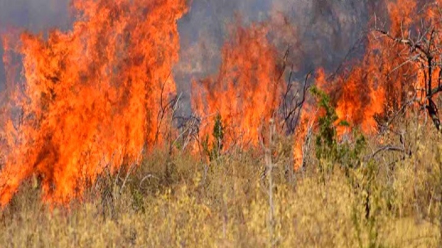 Meteo: Πολύ υψηλός κίνδυνος πυρκαγιάς το τριήμερο 9 - 11 Αυγούστου