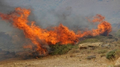 Πυρκαγιά σε δασική έκταση στη Νέα Πέραμο Αττικής