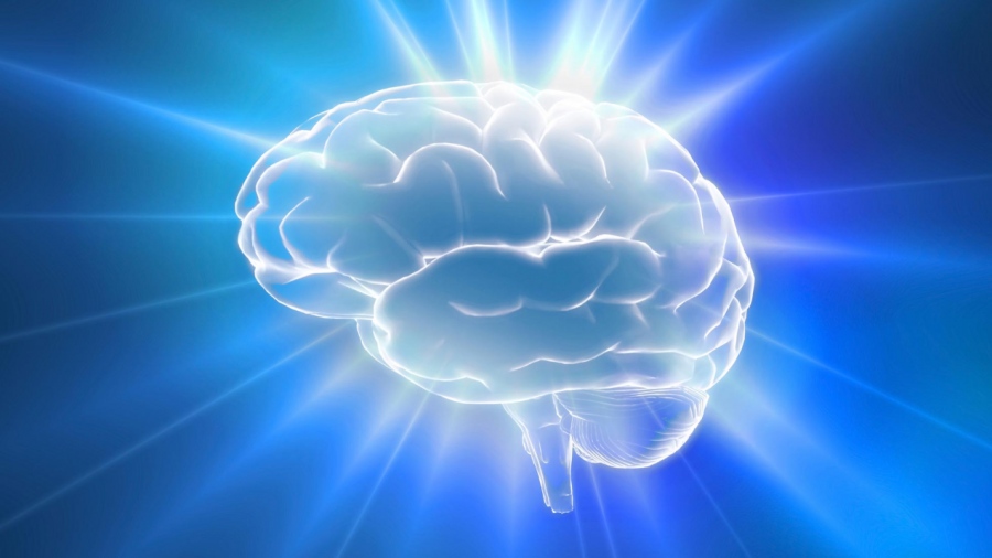 Ανατροπή στην νευροεπιστήμη - Πέντε απλοί τρόποι που «ξεκλειδώνουν» τη μνήμη