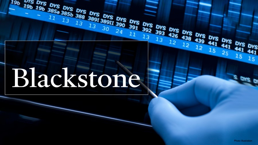 Οι 13 εκπλήξεις της Blackstone για το 2021 – Ο Trump παρουσιαστής, η Wall -20%, πωλείται η Tesla