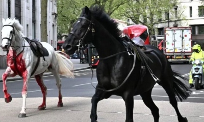 Πρωτοφανές χάος στο Λονδίνο... Άλογα το έσκασαν από παρέλαση και προκάλεσαν κομφούζιο - Πέντε τραυματίες