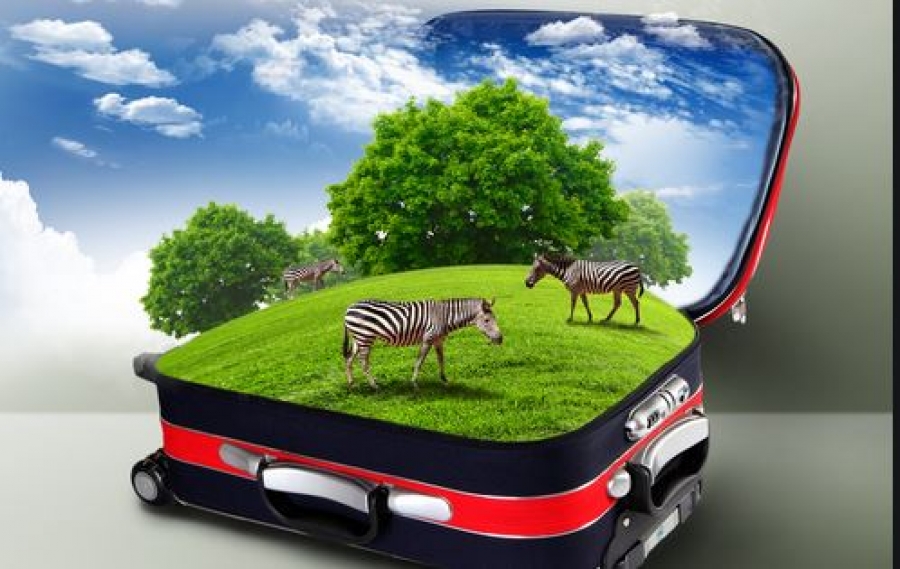 Φόρουμ Δελφών: Πράσινος τουρισμός - Η πανδημία μας έχει κάνει όλους σοφότερους ταξιδιώτες