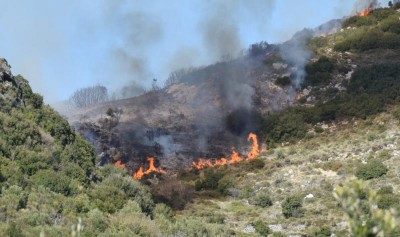 Σε εξέλιξη πυρκαγιά στην Αρχαία Ολυμπία - Ισχυρές δυνάμεις της Πυροσβεστικής