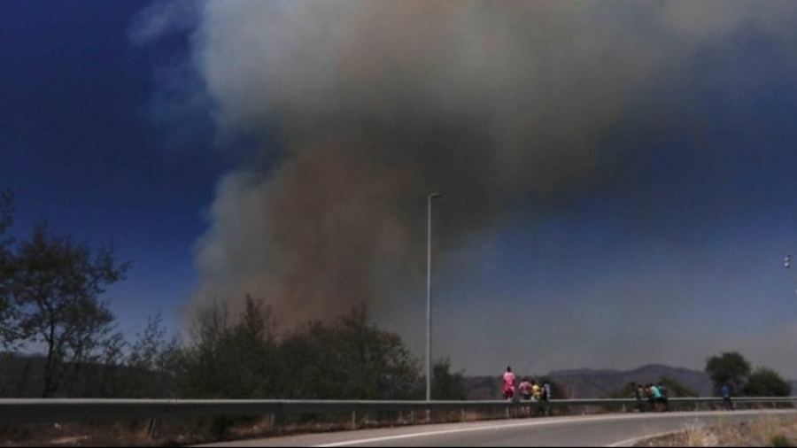 Χιλή: Στους 123 οι νεκροί και εκατοντάδες αγνοούμενοι από τις δασικές πυρκαγιές