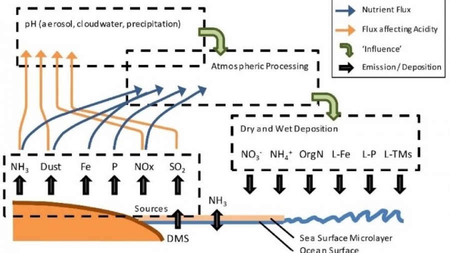 Η ατμοσφαιρική ρύπανση επηρεάζει το οικοσύστημα των ωκεανών