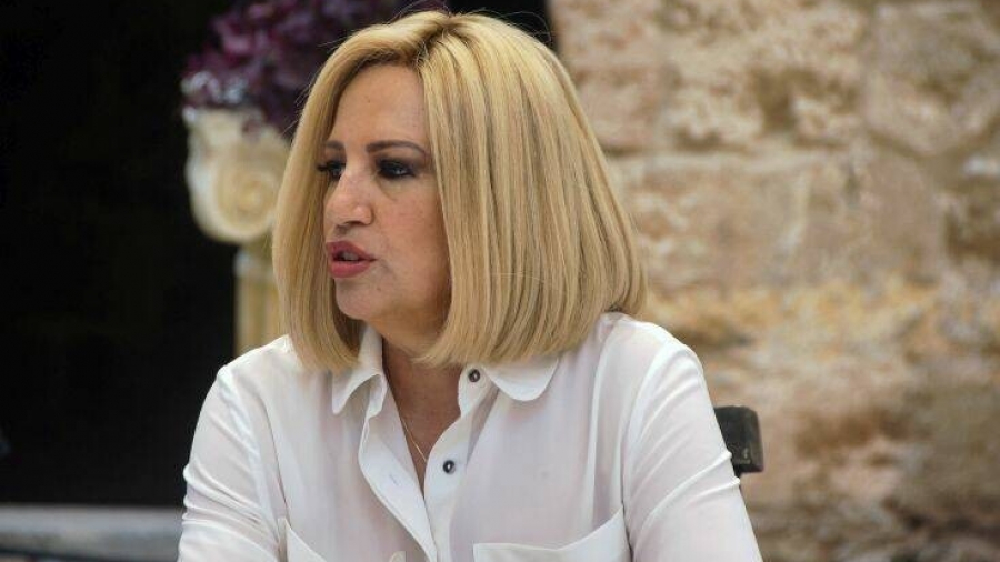 Στον Ευαγγελισμό με κολικό του νεφρού η Φώφη Γεννηματά