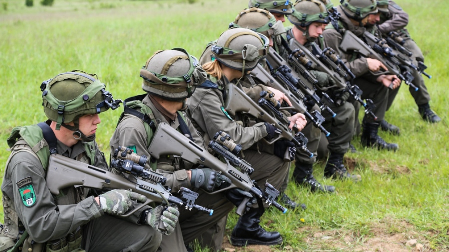 Πολεμική υστερία και στην Αυστρία - Σχέδιο παράτατης της θητείας λόγω «επιδείνωσης της ασφάλειας»