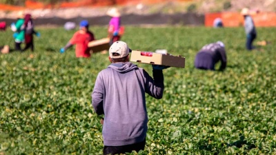 Έρχονται 400.000 εργαζόμενοι από τρίτες χώρες για τον αγροτικό και κατασκευαστικό τομέα