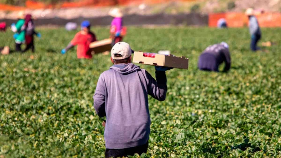 Έρχονται 400.000 εργαζόμενοι από τρίτες χώρες για τον αγροτικό και κατασκευαστικό τομέα