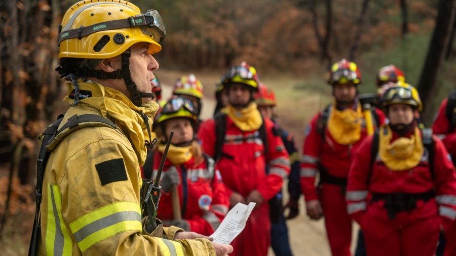 Οι εθελοντές στη μάχη για προστασία των δασών μας