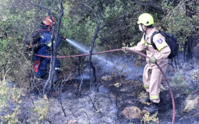 Πυροσβεστική: 61 δασικές πυρκαγιές εκδηλώθηκαν το τελευταίο 24ωρο - Σε ύφεση η πυρκαγιά στο Άγιο Όρος