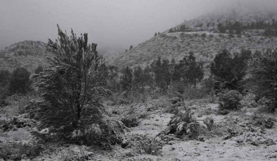 Φλώρινα: Έπεσαν τα πρώτα χιόνια