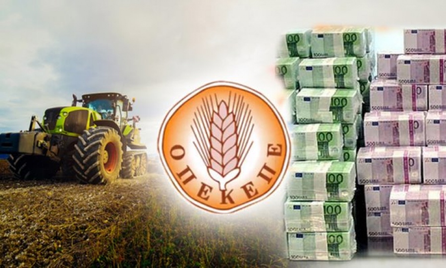 ΣΟΚ: Έβαλαν χέρι στους λογαριασμούς 480.000 αγροτών πριν πληρώσουν τις ενισχύσεις με ευθύνη Γαργαλάκου