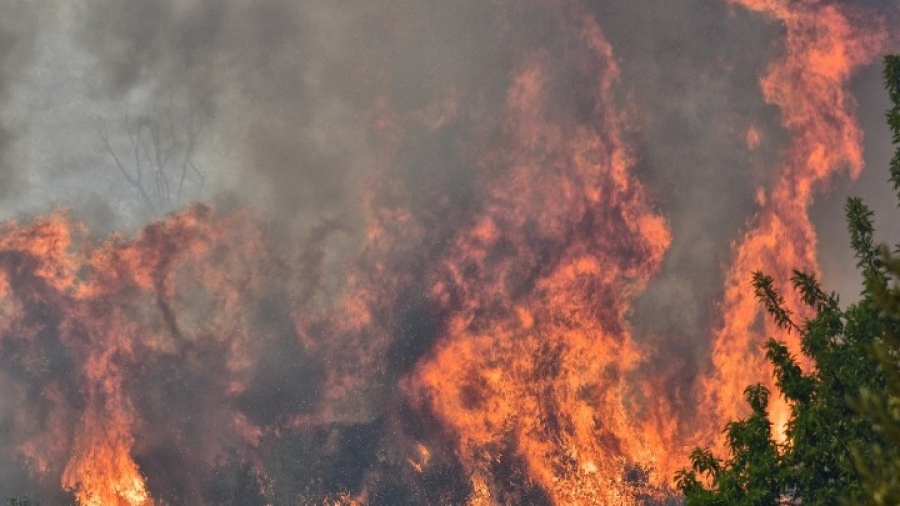 Στις φλόγες και η Αιτωλοακαρνανία – Μεγάλη φωτιά καίει δάσος στον Αστακό