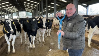 Το BBC το τερμάτισε... Πόσα σπίτια θα μπορούσαν να θερμανθούν από τα... περιττώματα αγελάδας;